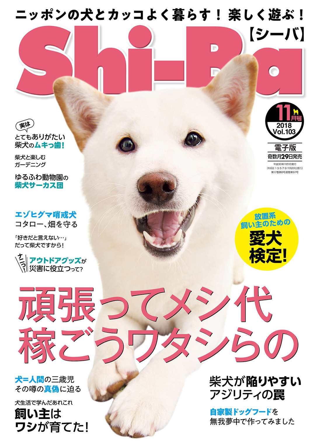 Shi-Ba 2018年11月号　Vol.103