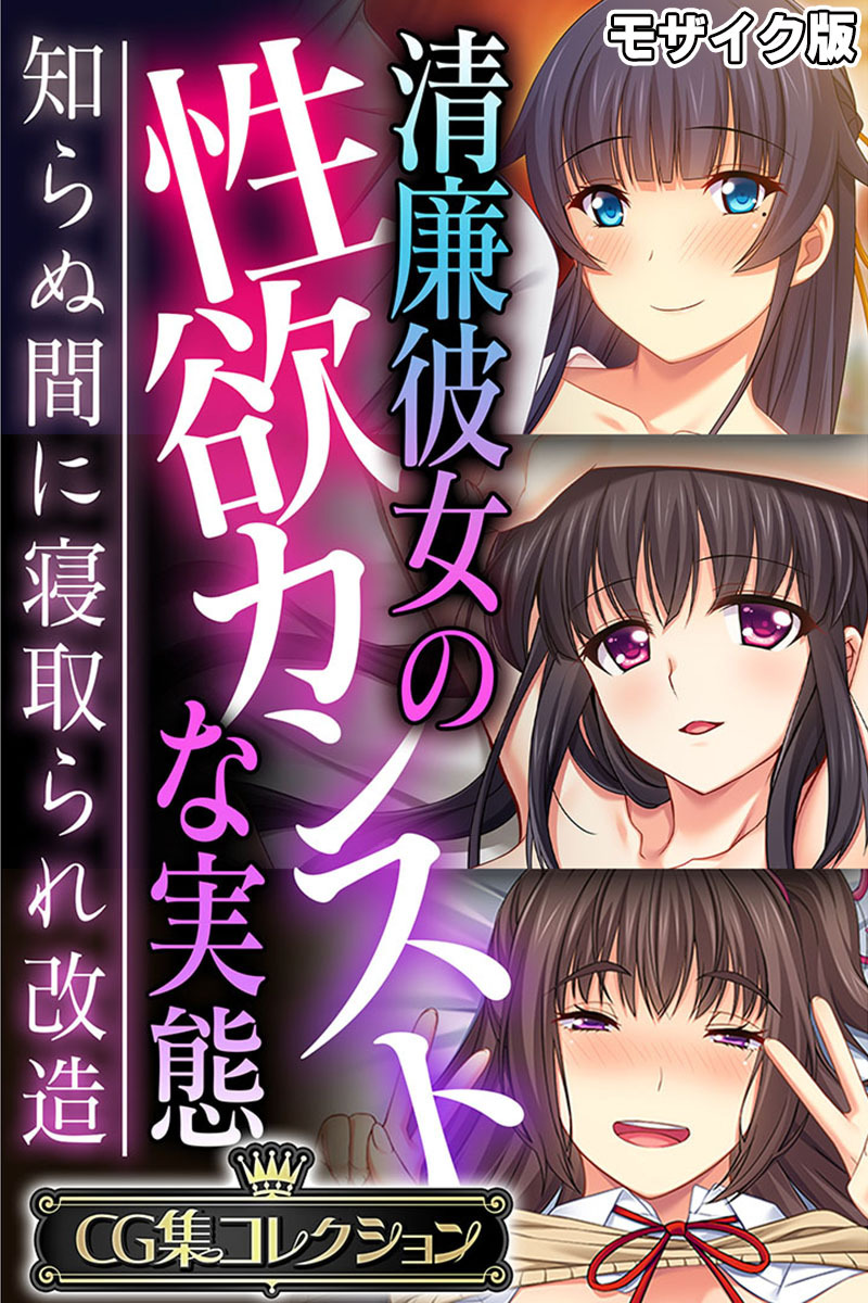 清廉彼女の性欲カンストな実態 ～知らぬ間に寝取られ改造～【CG集コレクション】 モザイク版