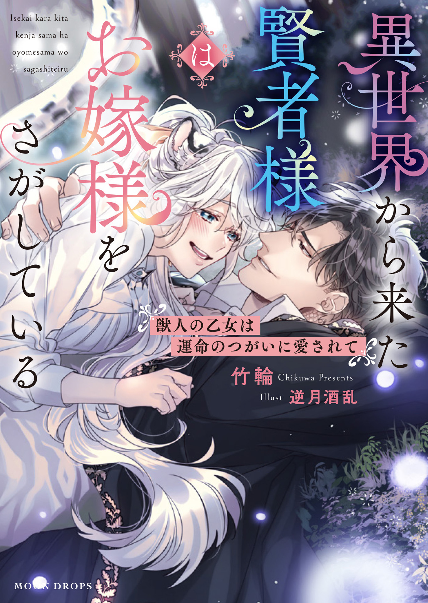 異世界から来た賢者様はお嫁様をさがしている　獣人の乙女は運命のつがいに愛されて