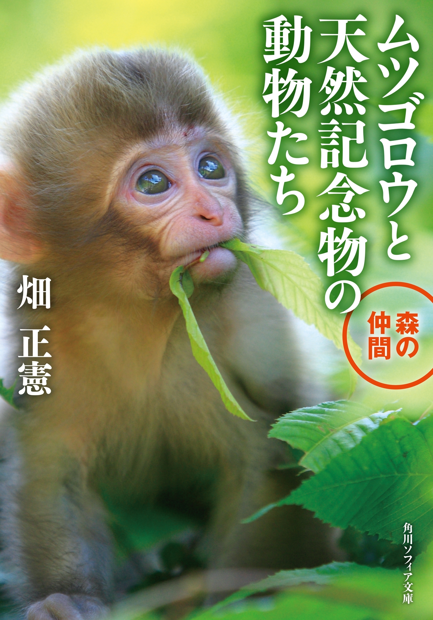 ムツゴロウと天然記念物