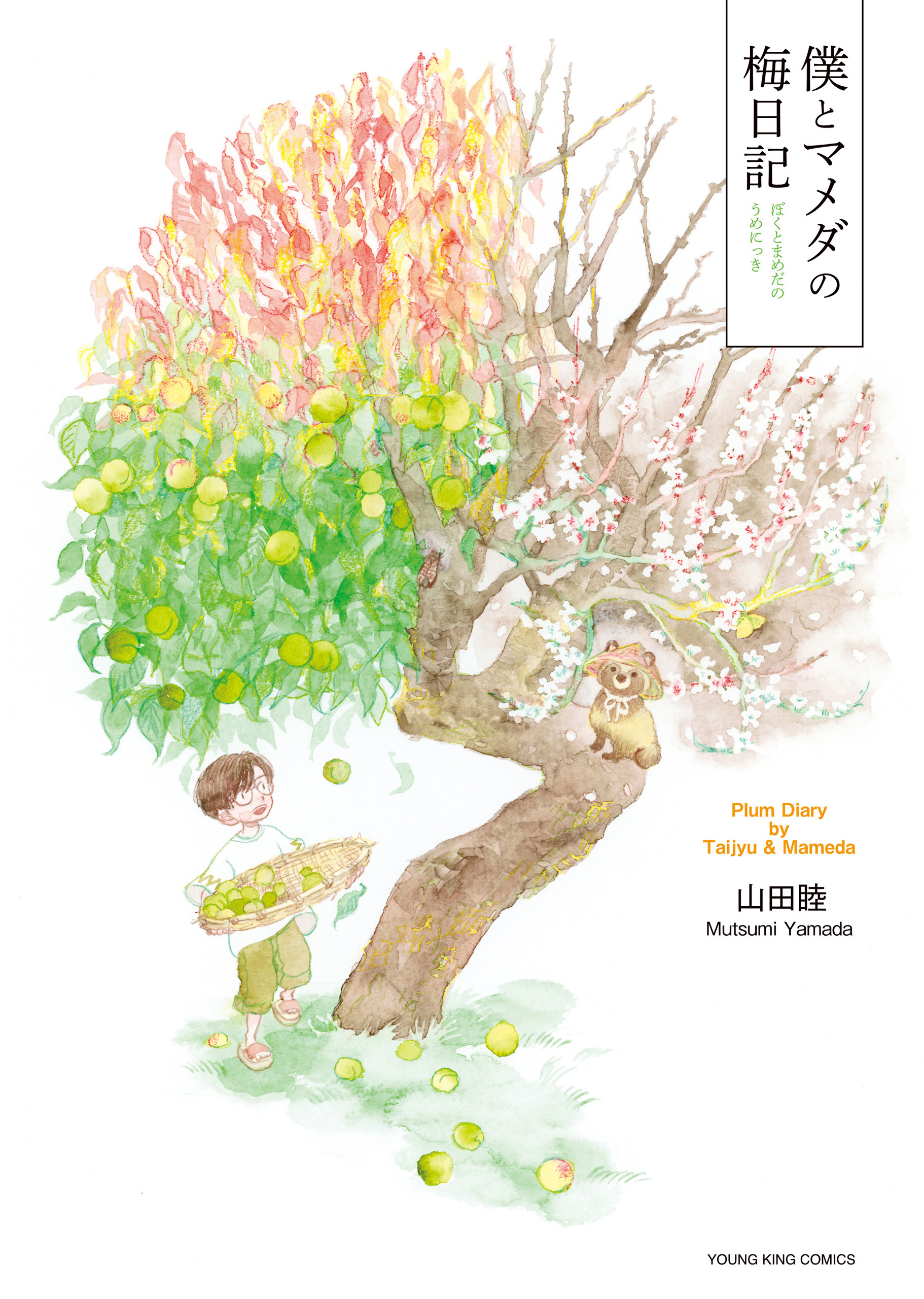 僕とマメダの梅日記