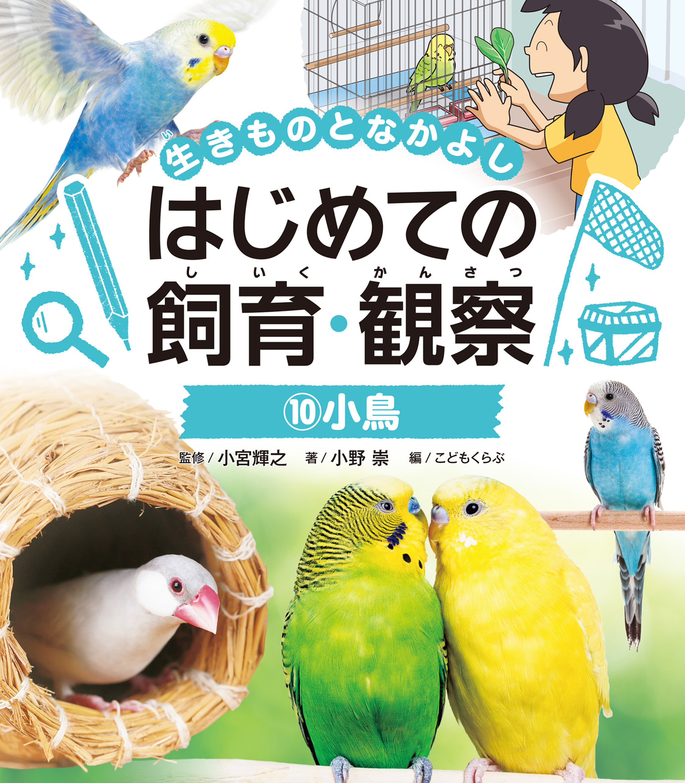 小鳥１０　生きものとなかよし　はじめての飼育・観察