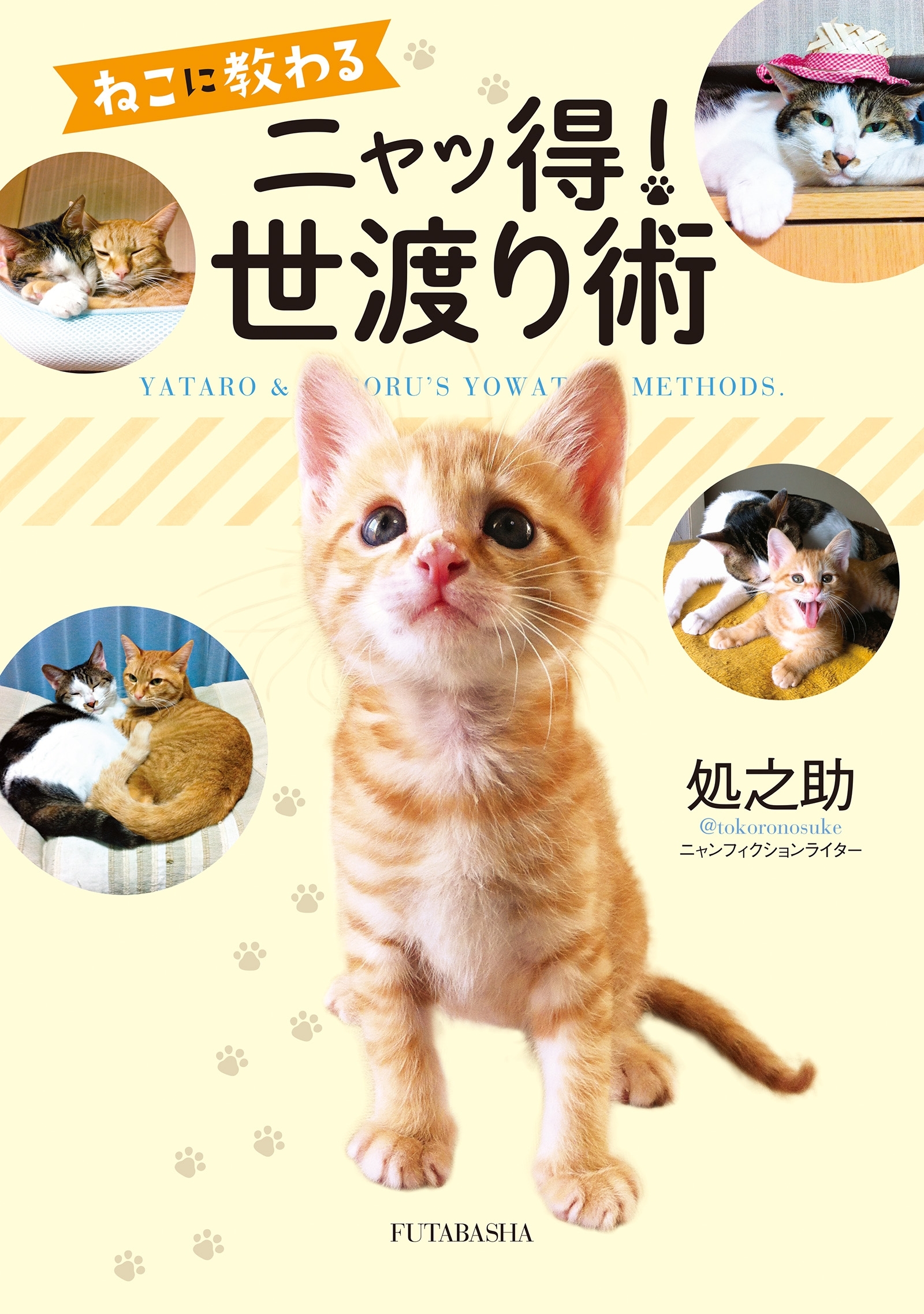 ねこに教わるニャッ得! 世渡り術