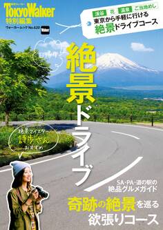 日帰り 絶景ドライブ