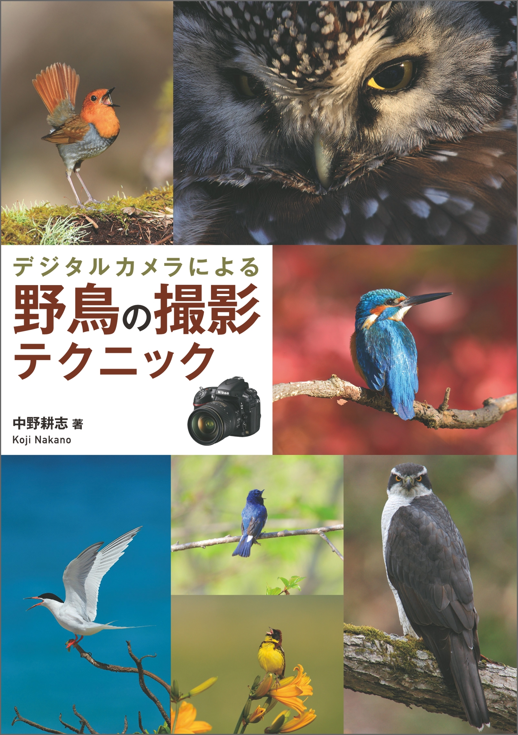 デジタルカメラによる 野鳥の撮影テクニック