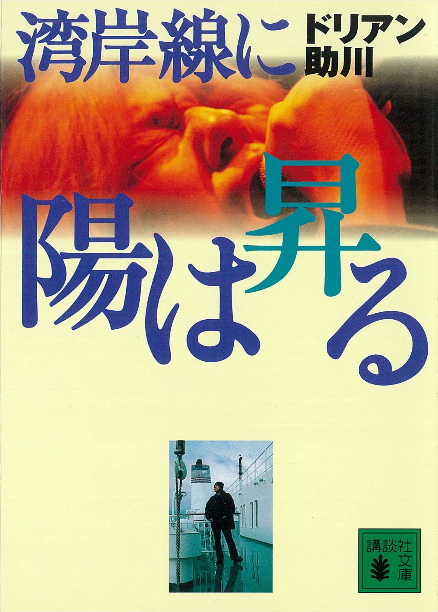 湾岸線に陽は昇る