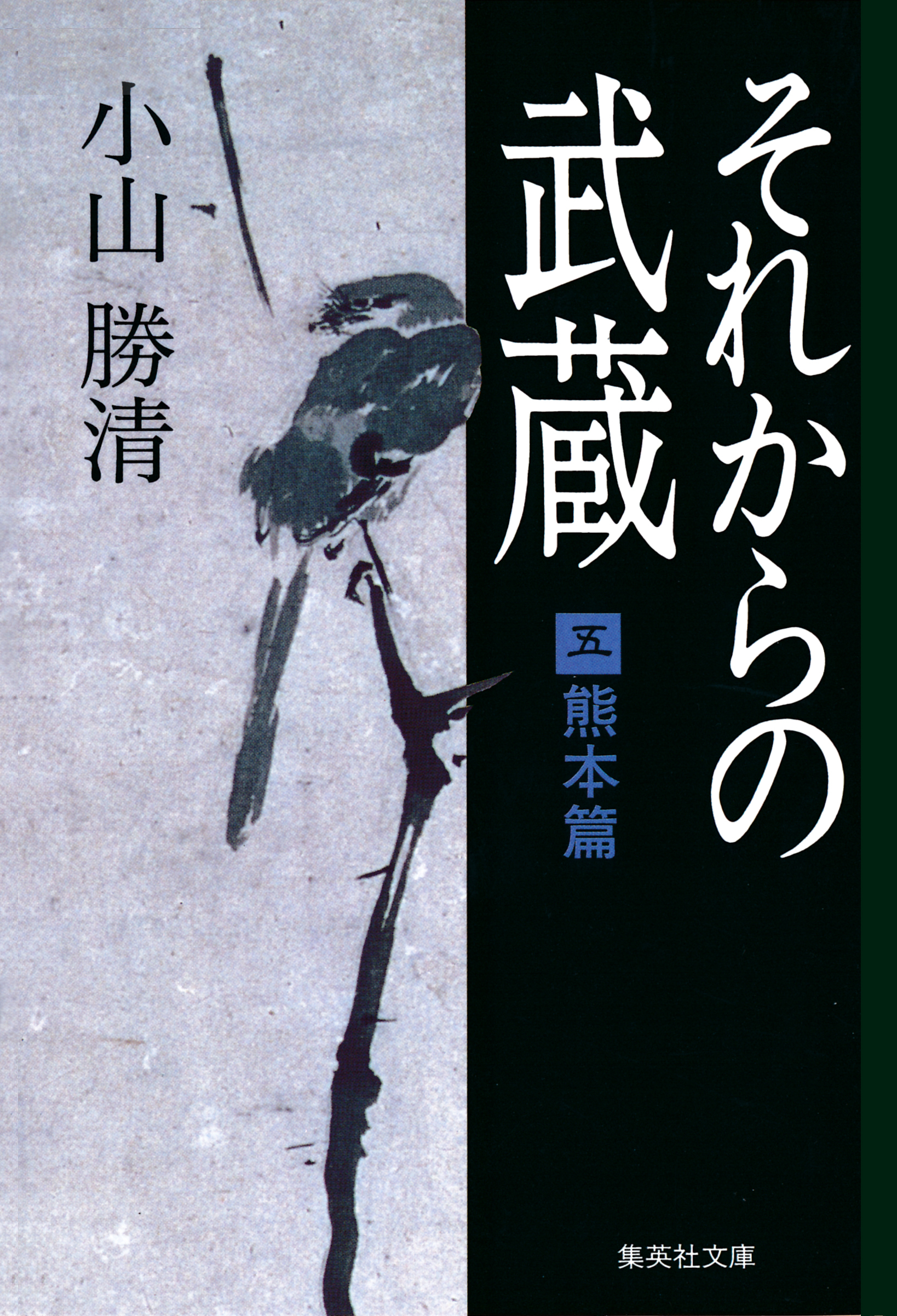 それからの武蔵（五）熊本篇