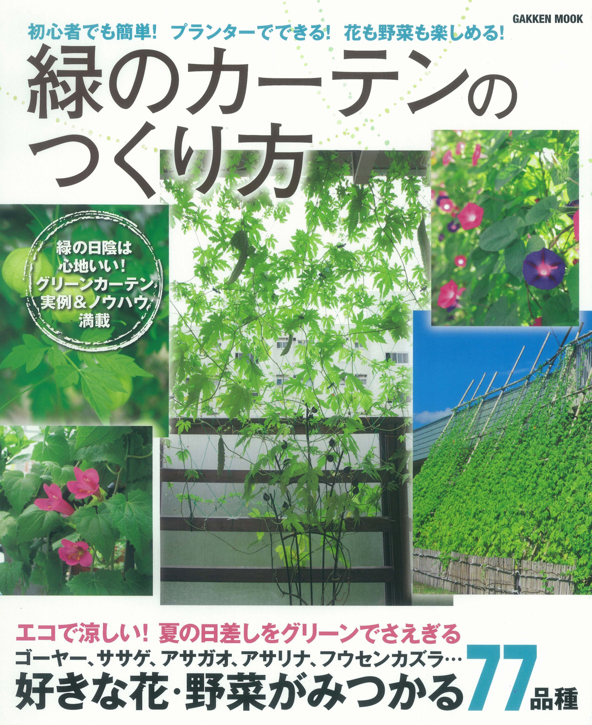 緑のカーテンのつくり方