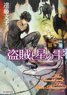 盗賊と星の雫