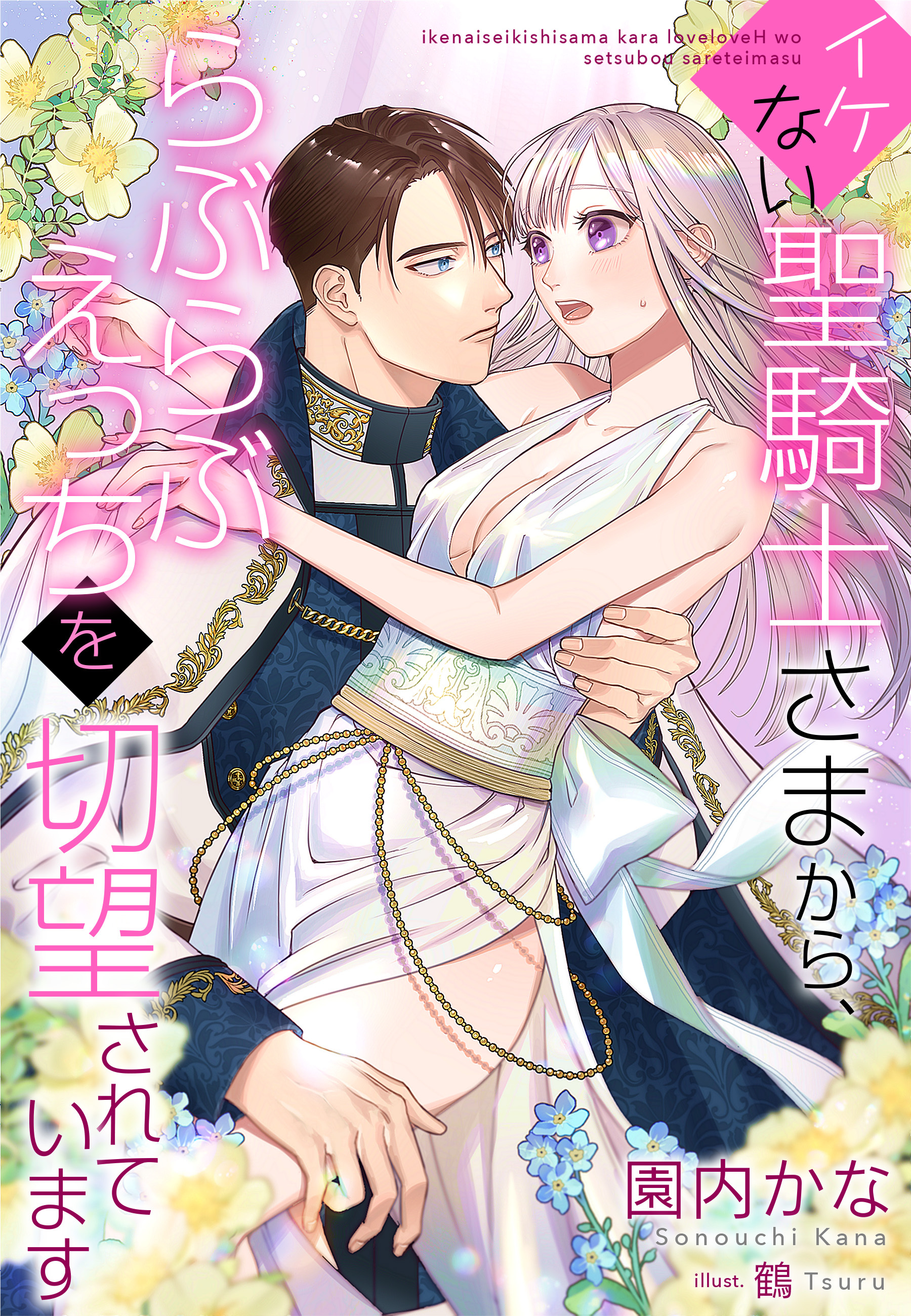 イケない聖騎士さまから、らぶらぶえっちを切望されています