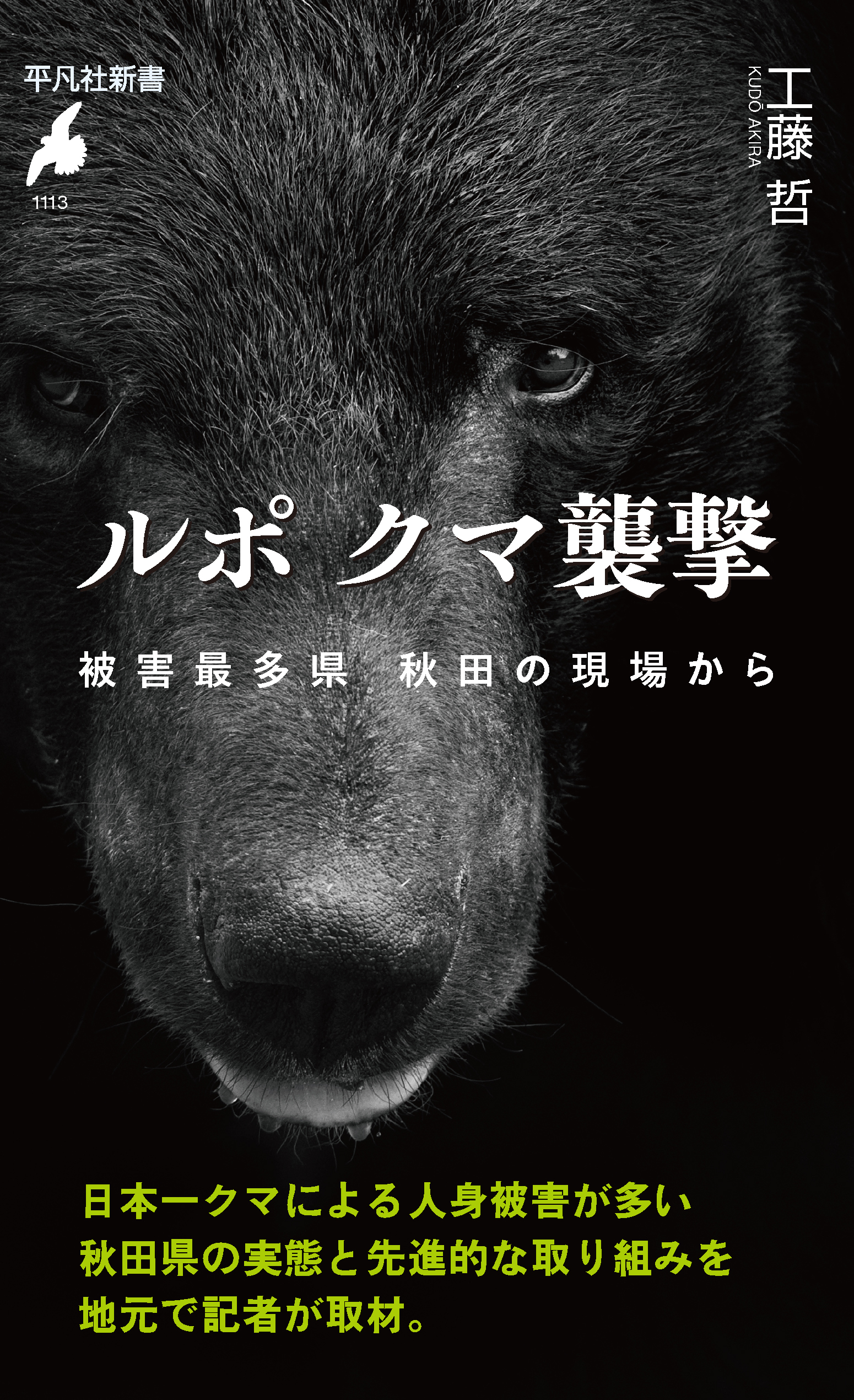 ルポ クマ襲撃