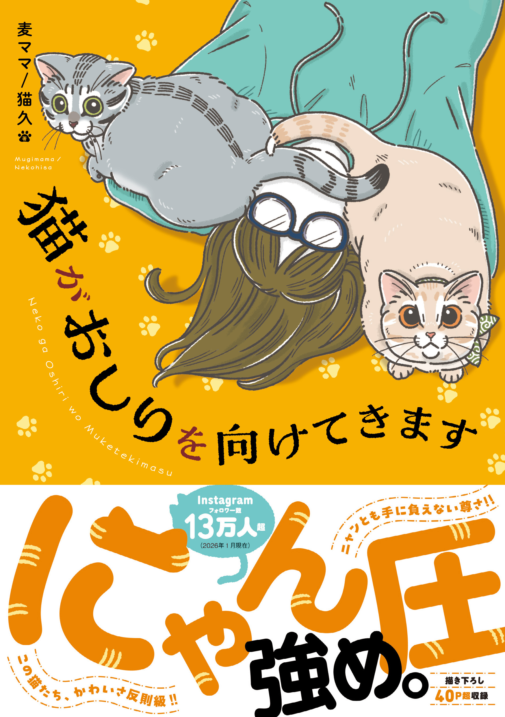 猫がおしりを向けてきます