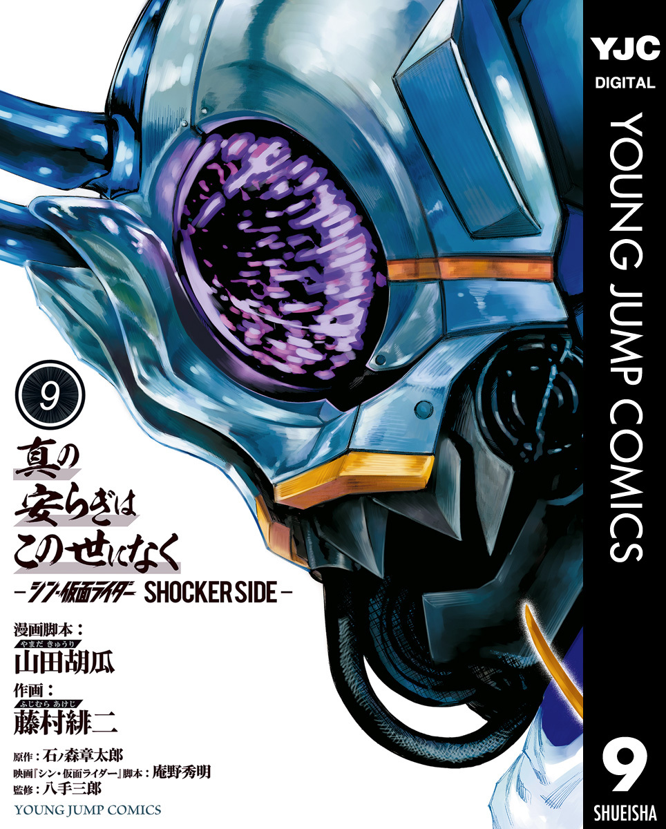 真の安らぎはこの世になく -シン・仮面ライダー SHOCKER SIDE-