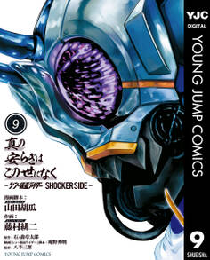 真の安らぎはこの世になく -シン・仮面ライダー SHOCKER SIDE-