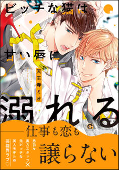 ビッチな猫は甘い唇に溺れる【電子限定かきおろし漫画付】 【シリーズ 5】