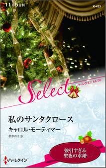 私のサンタクロース