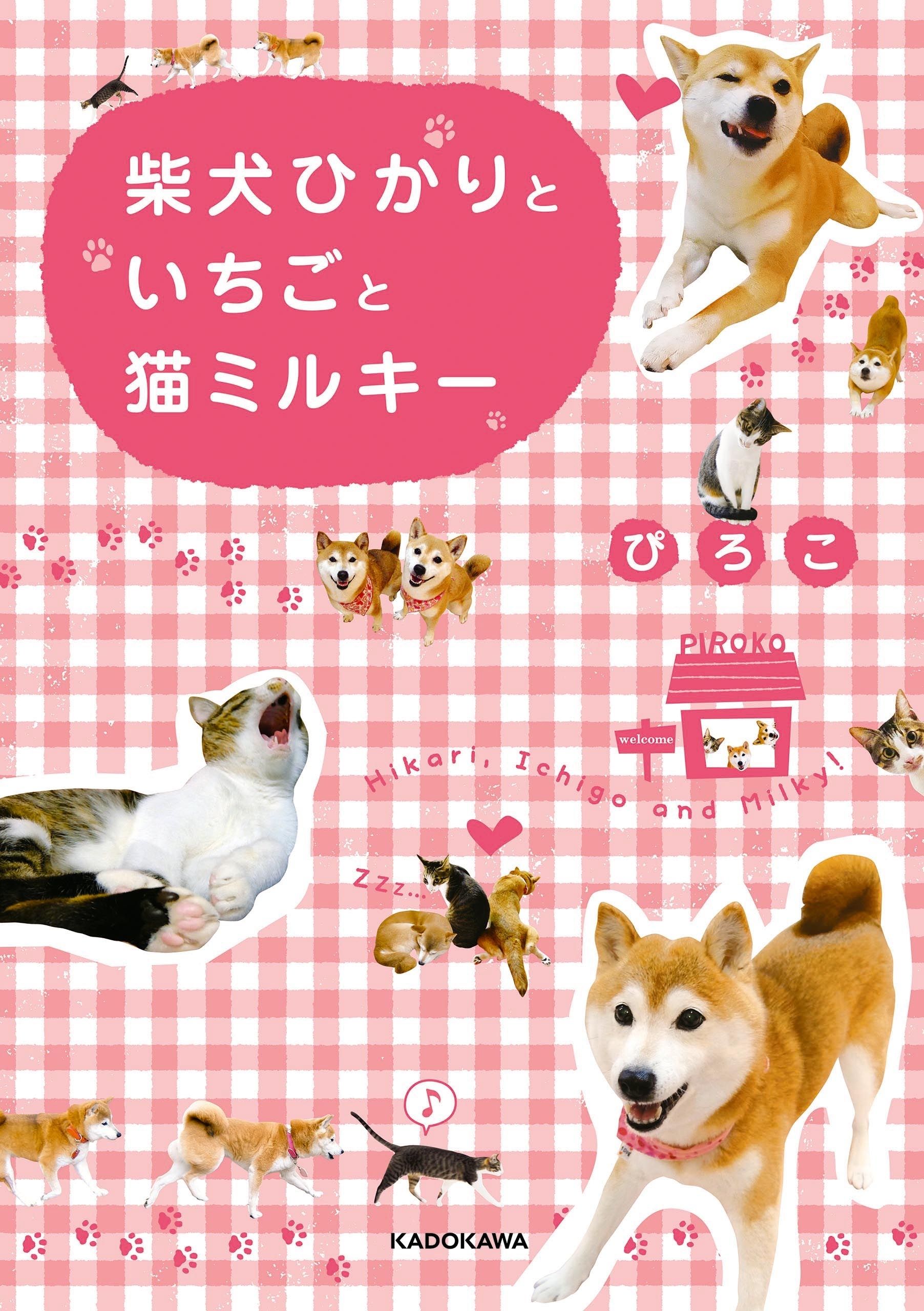 柴犬ひかりといちごと猫ミルキー