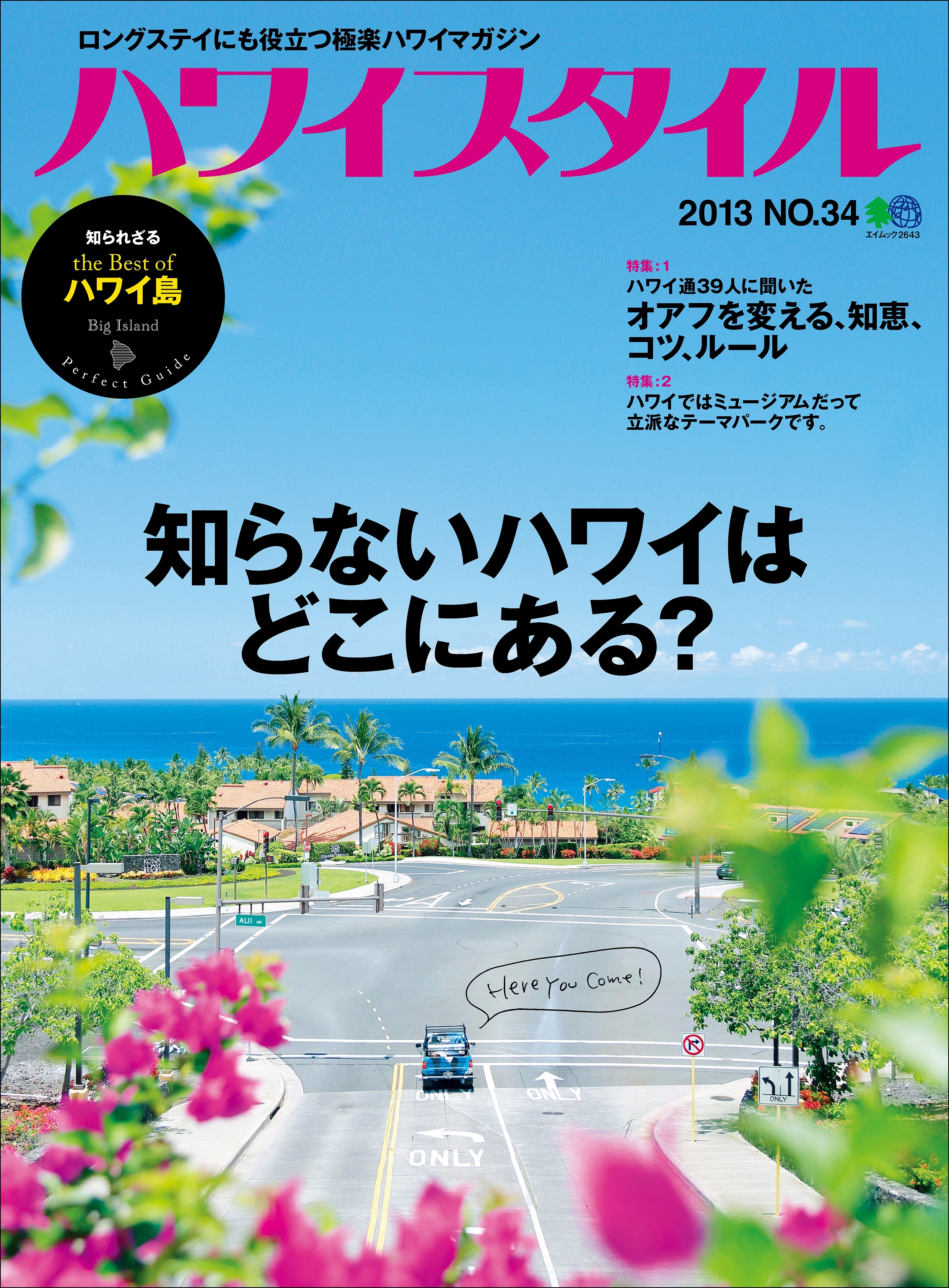 ハワイスタイル No.34