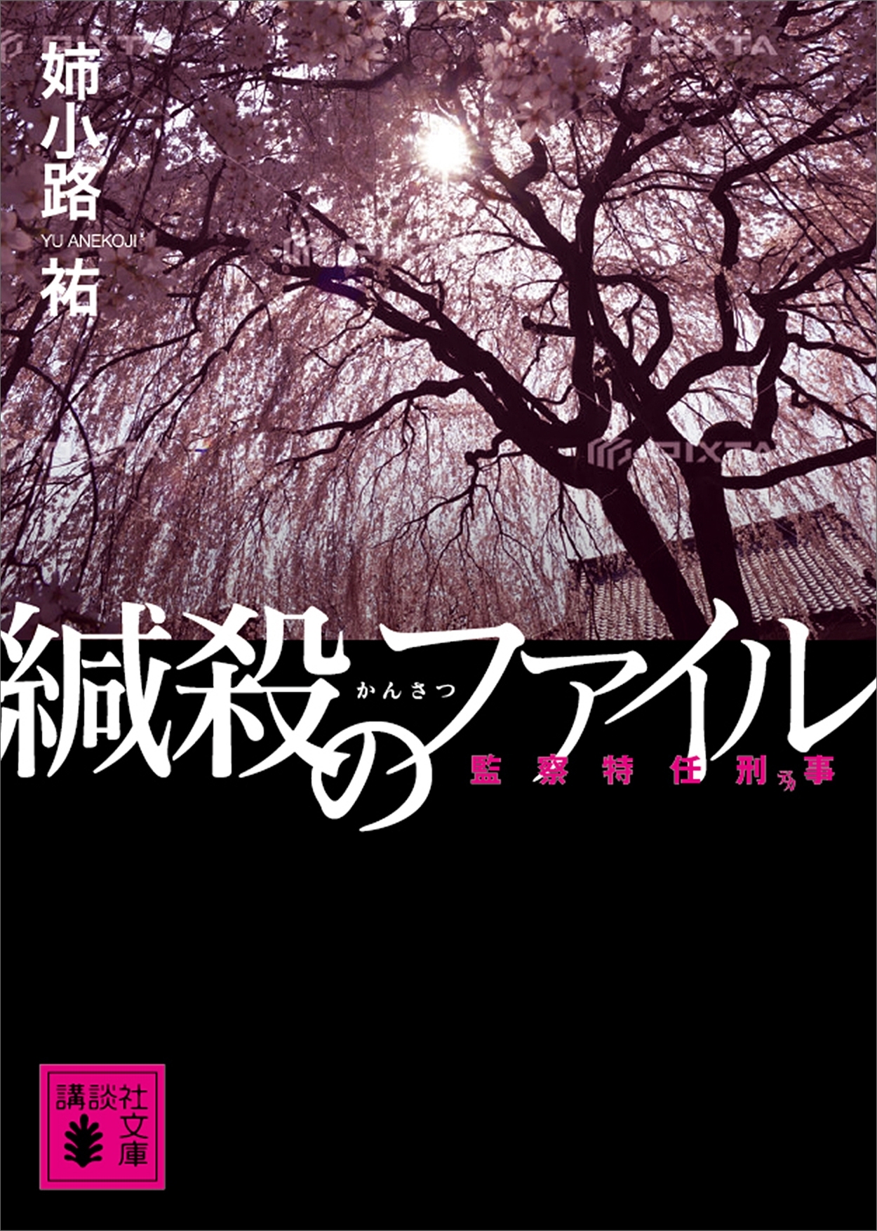 緘殺のファイル　監察特任刑事
