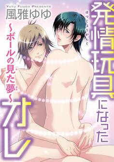 発情玩具になったオレ~ボールの見た夢~