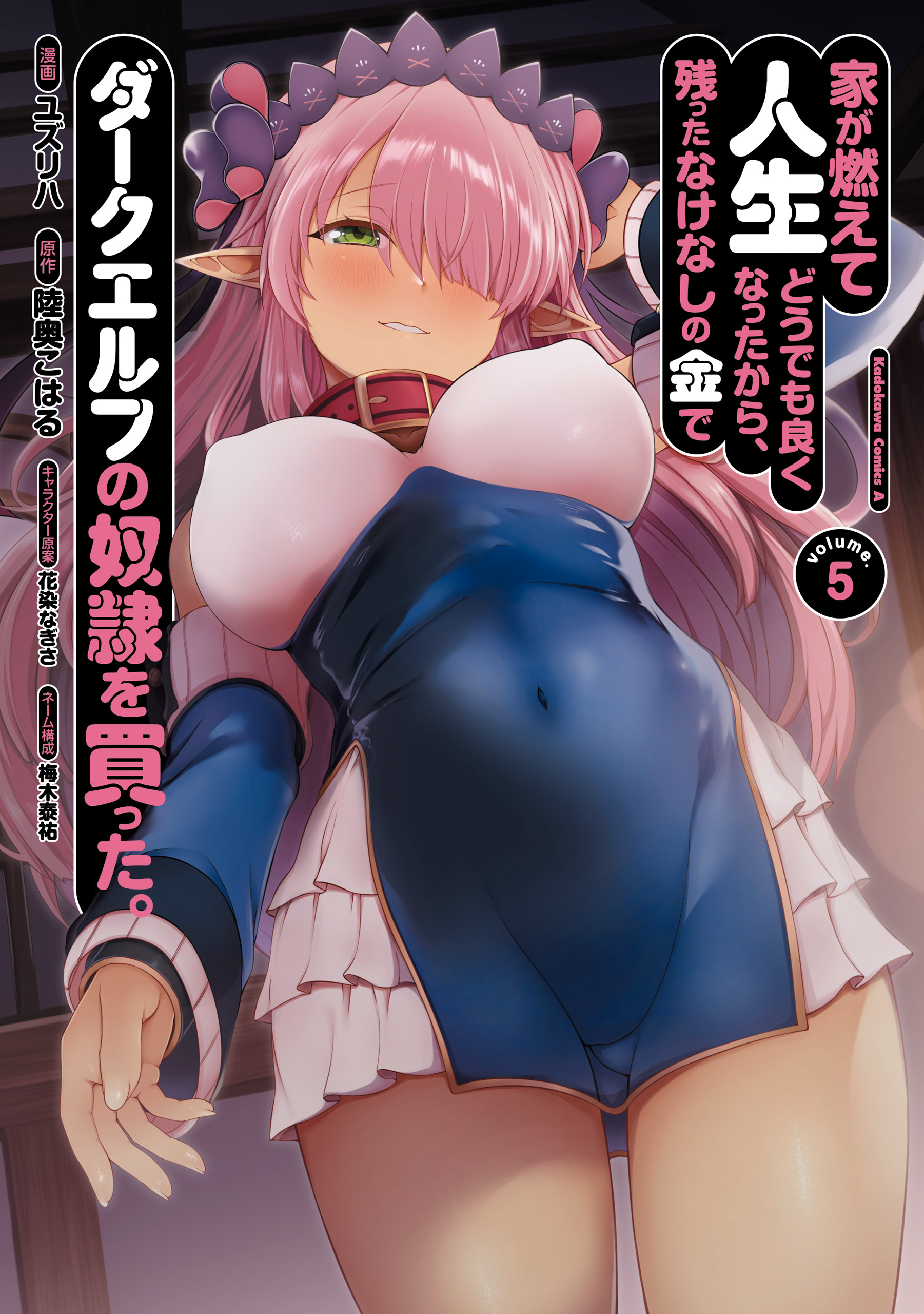 家が燃えて人生どうでも良くなったから、残ったなけなしの金でダークエルフの奴隷を買った。