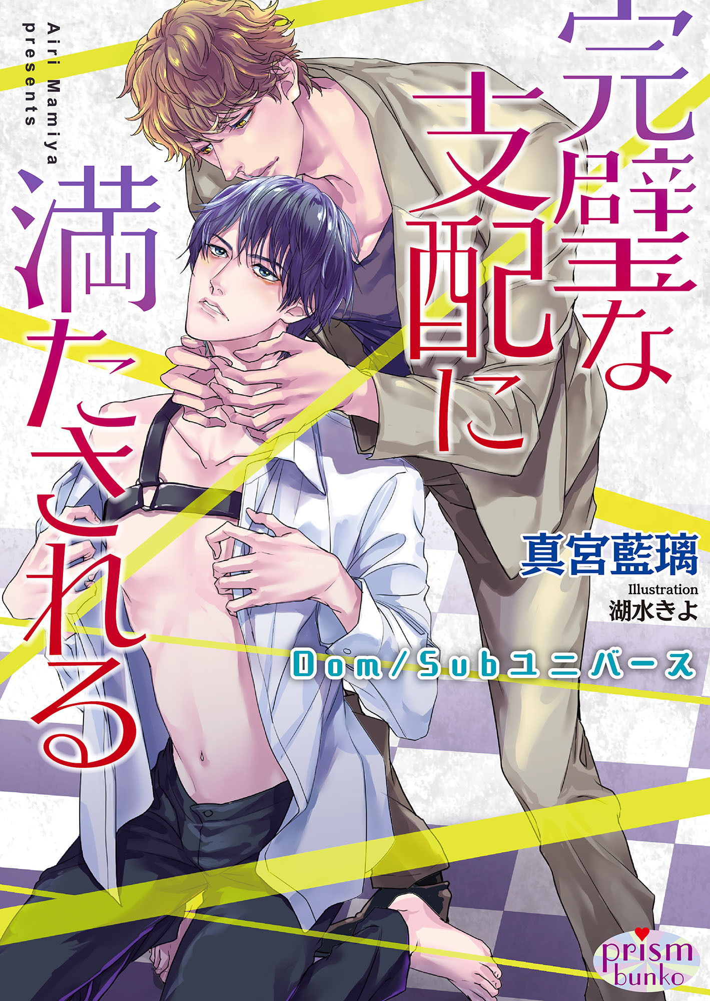 完璧な支配に満たされる Dom/Subユニバース【電子限定特典付】