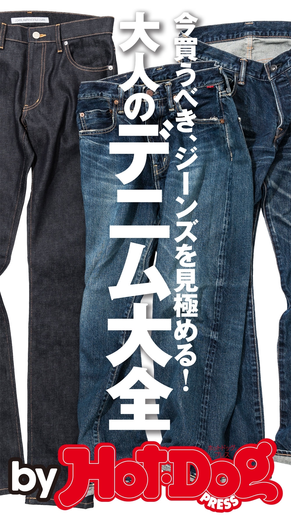 ｂｙ　Ｈｏｔ－Ｄｏｇ　ＰＲＥＳＳ　大人のデニム大全　今買うべき、ジーンズを見極める