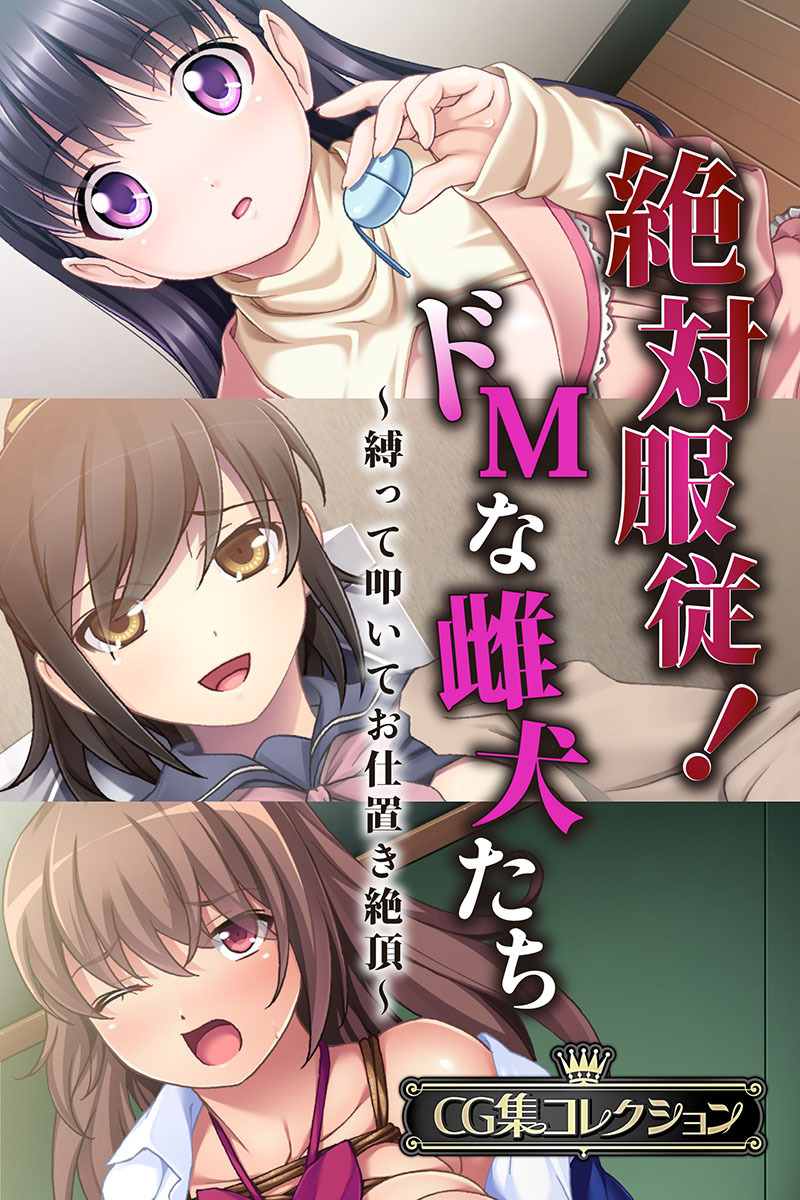 絶対服従！ドMな雌犬たち ～縛って叩いてお仕置き絶頂～【CG集コレクション】