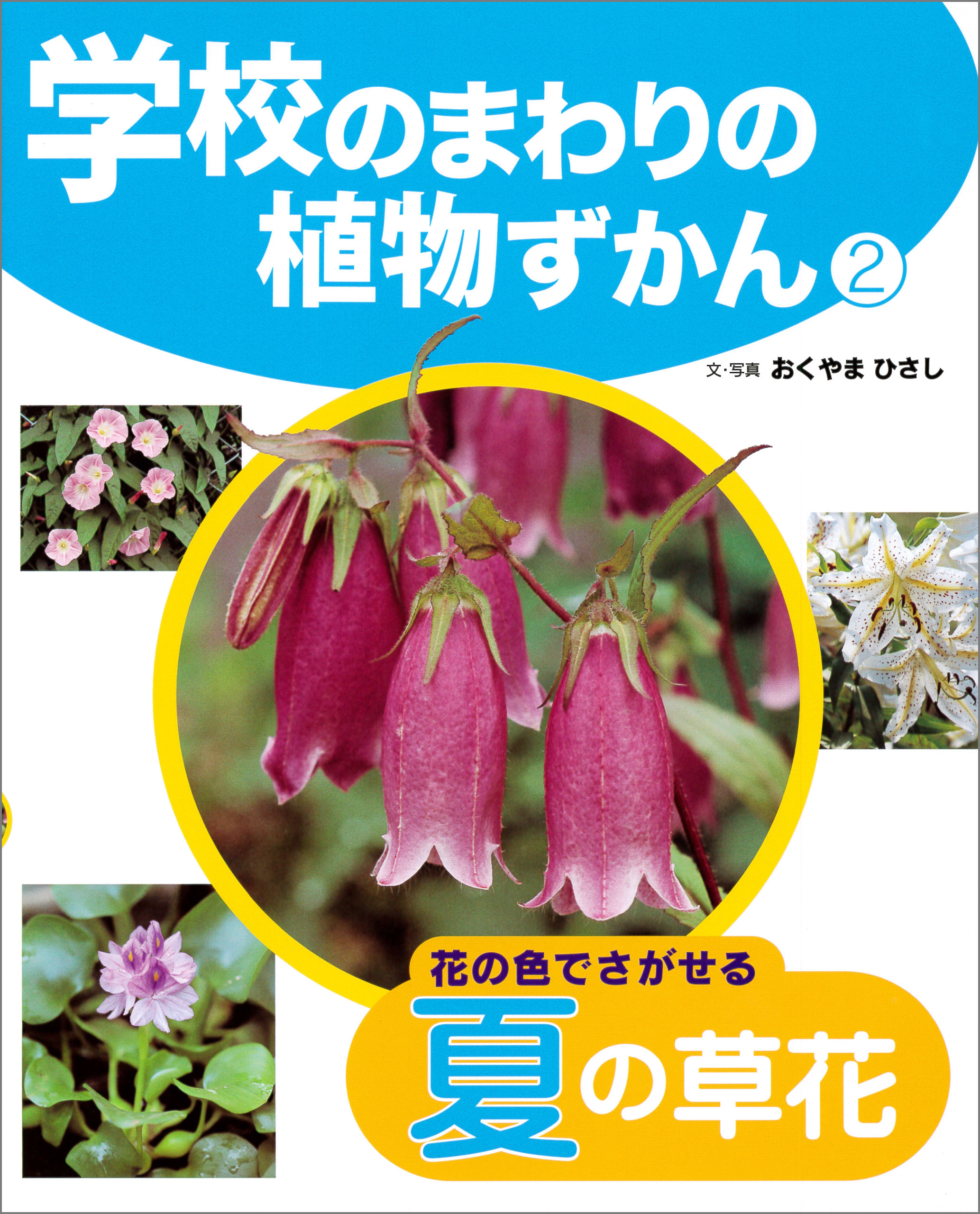 花の色でさがせる夏の草花２　学校のまわりの植物ずかん