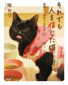それでも人を信じた猫 黒猫みつきの180日