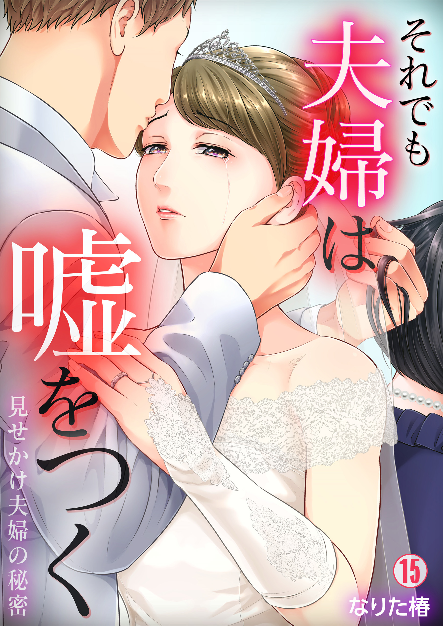 それでも夫婦は嘘をつく～見せかけ夫婦の秘密～（15）