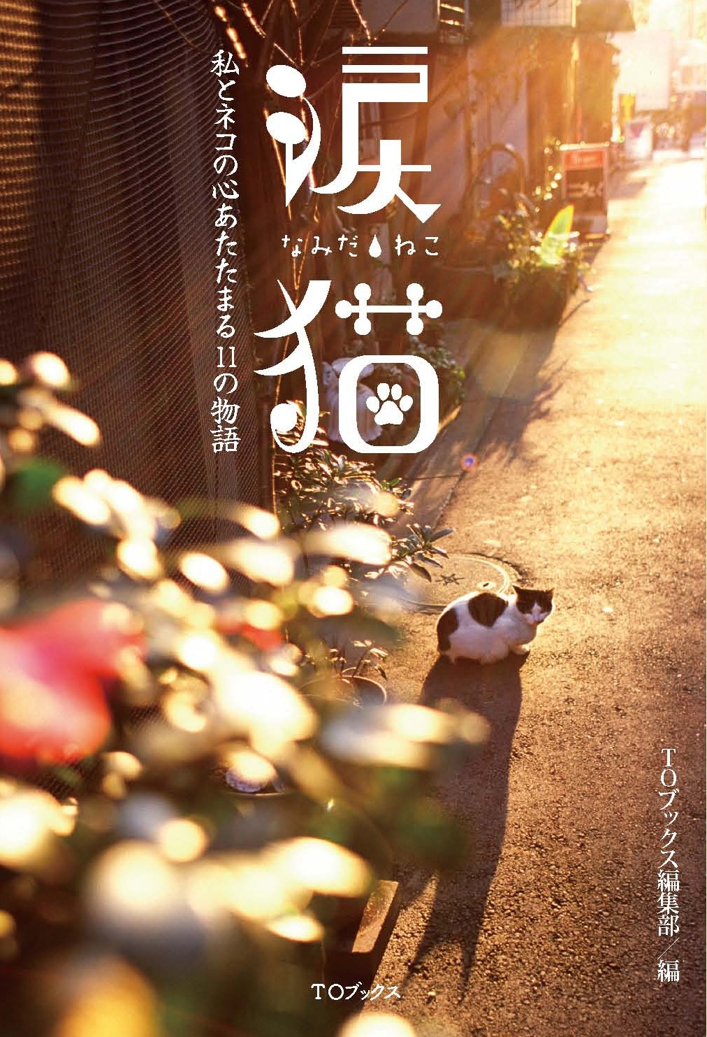 涙猫～私とネコの心あたたまる11の物語～