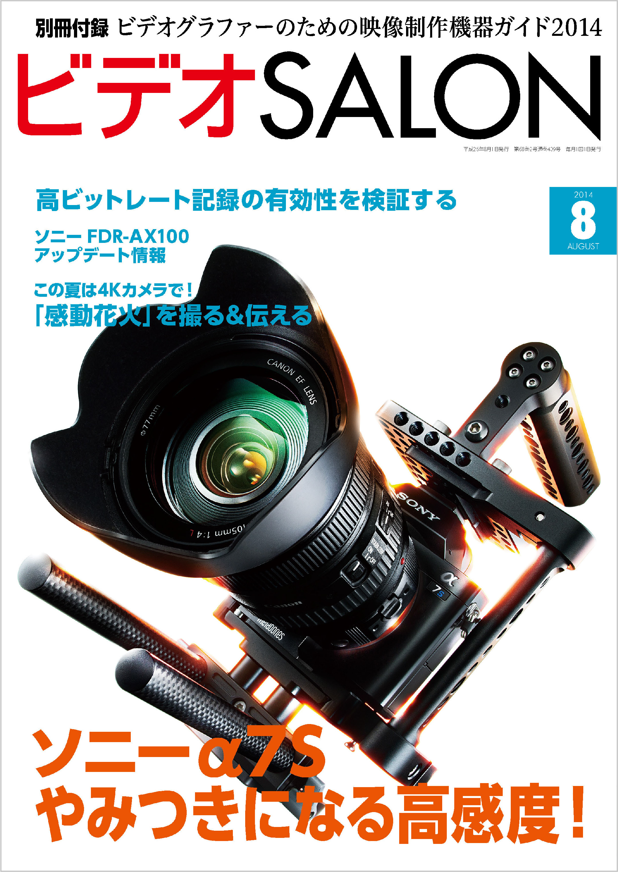 ビデオ SALON (サロン) 2014年 08月号