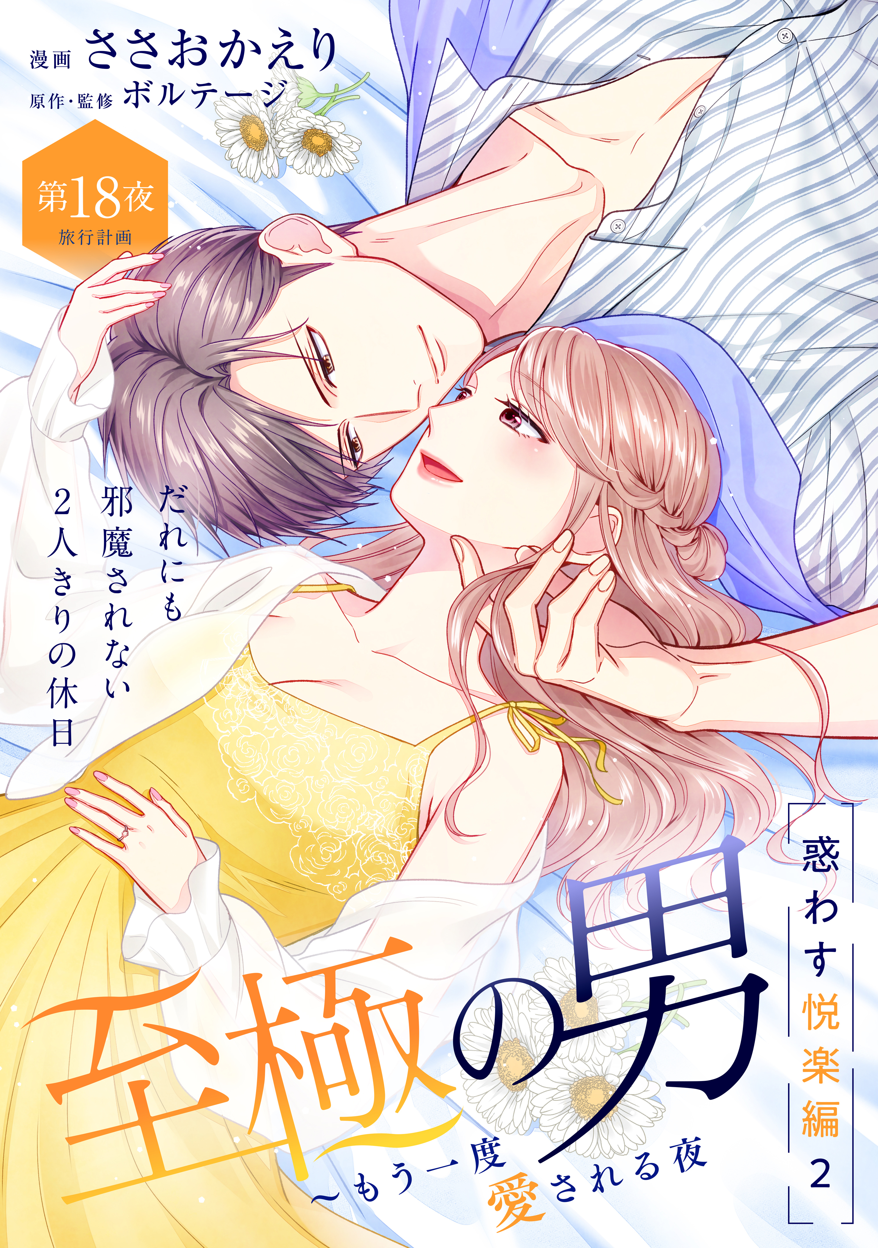 至極の男～もう一度愛される夜［ｃｏｍｉｃ　ｔｉｎｔ］　分冊版（18）