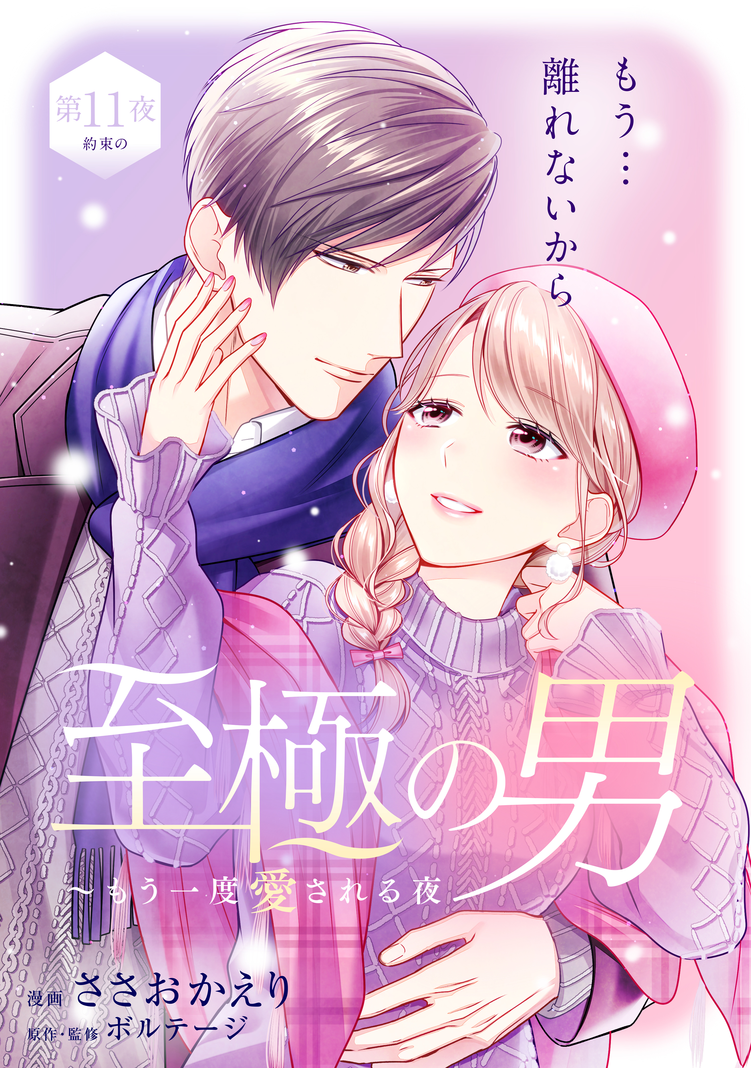 至極の男～もう一度愛される夜［ｃｏｍｉｃ　ｔｉｎｔ］　分冊版（11）