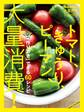 オレンジページ大量消費シリーズ2 トマト、きゅうり、ピーマン、大量消費!