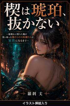 楔は琥珀、抜かない(挿絵版)