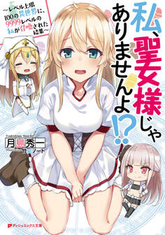 私、聖女様じゃありませんよ!? ~レベル上限100の異世界に、9999レベルの私が召喚された結果~