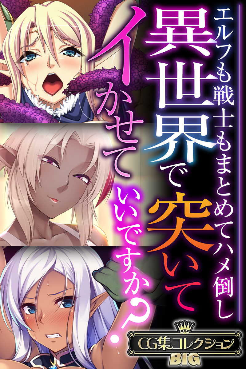 異世界で突いてイかせていいですか？ ～エルフも戦士もまとめてハメ倒し～【CG集コレクションBIG】