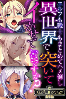 異世界で突いてイかせていいですか? ~エルフも戦士もまとめてハメ倒し~【CG集コレクションBIG】