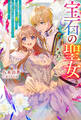 宝石の聖女 ―宝石を要求していたら「欲深女め!」と追放された。結界の維持に必要だったんですけど? まあもういいや―(ノベル)