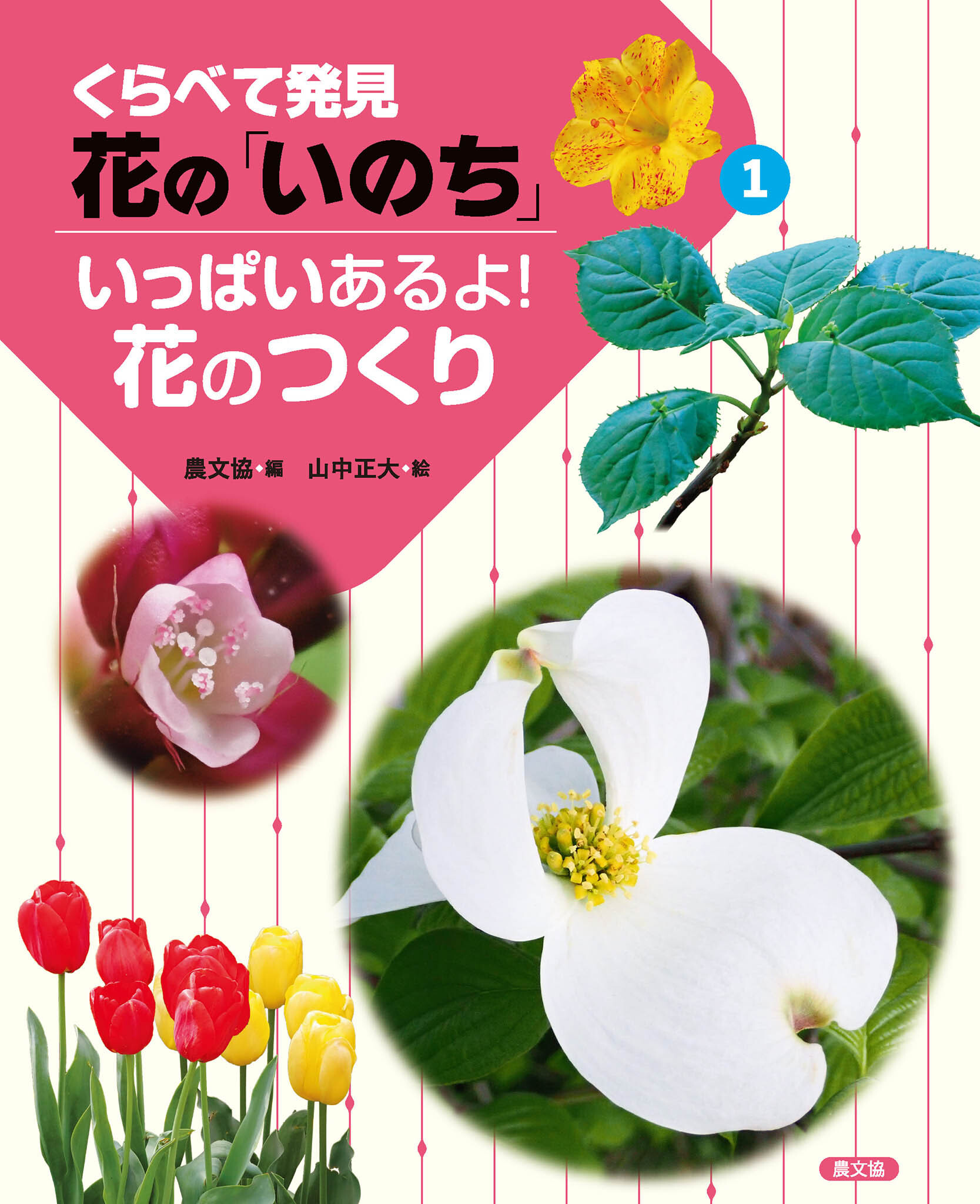 いっぱいあるよ！花のつくり