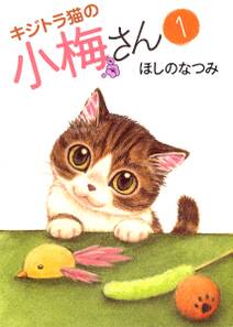 キジトラ猫の小梅さんの漫画を全巻無料で読む方法を調査！最新刊含め無料で読める電子書籍サイトやアプリ一覧も
