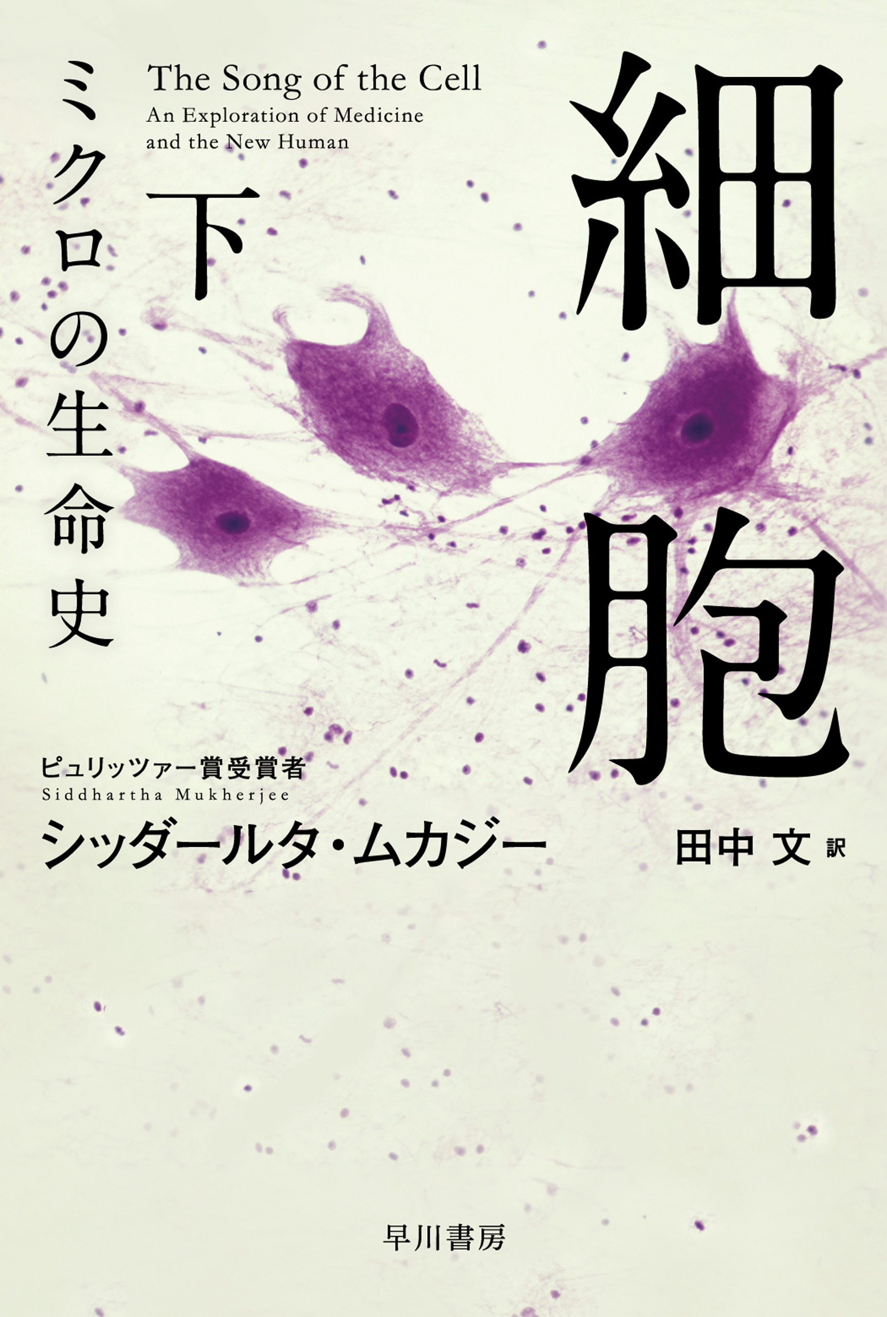 細胞―ミクロの生命史―