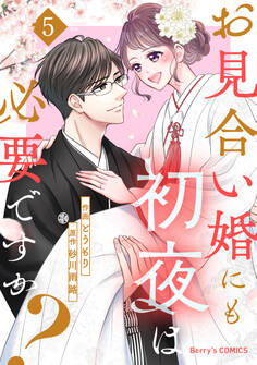 お見合い婚にも初夜は必要ですか?