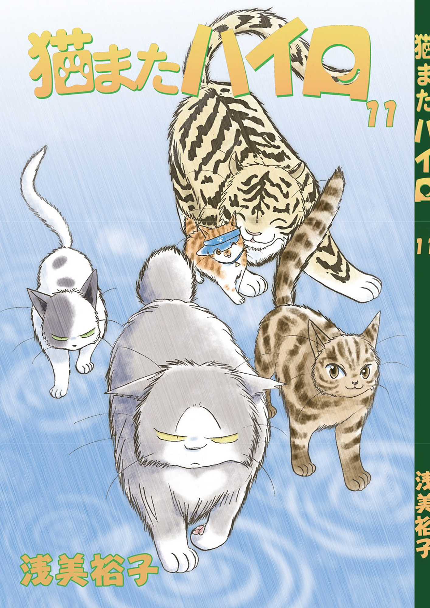 猫またハイロ11巻