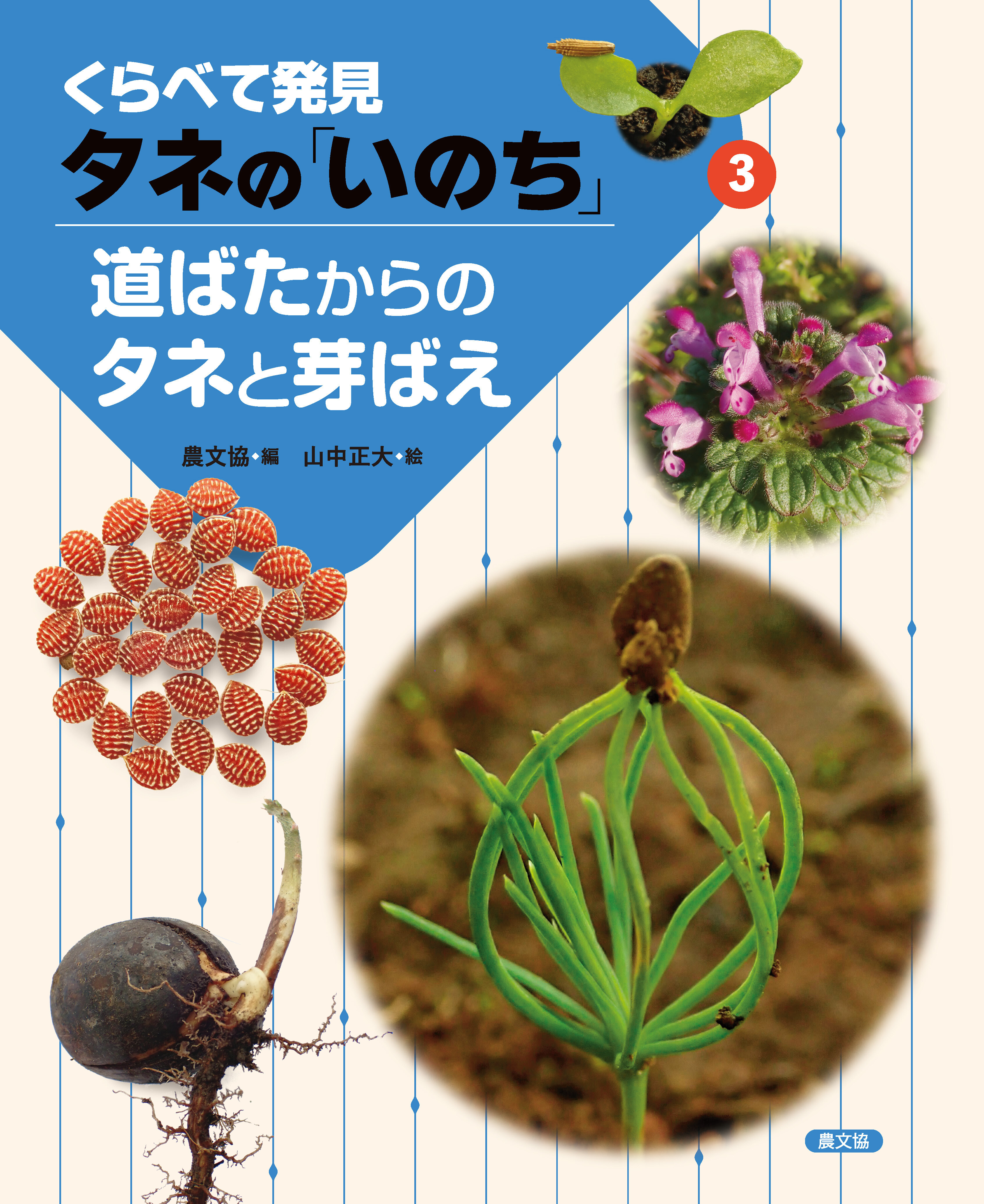 くらべて発見 タネの「いのち」