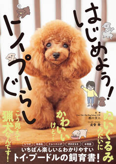 はじめよう!トイプーぐらし