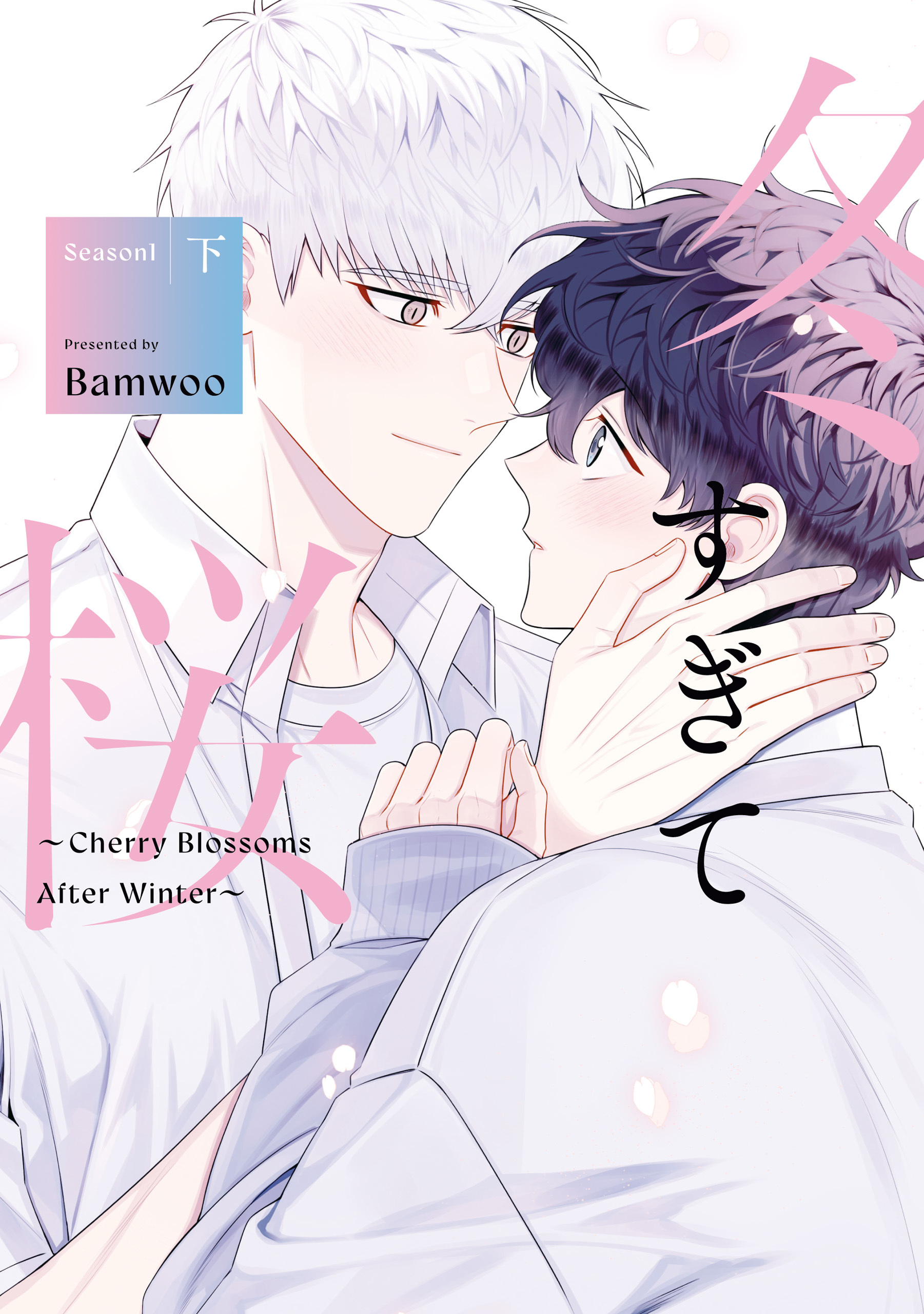冬すぎて桜～Cherry Blossoms After Winter～