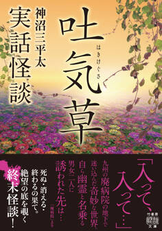 実話怪談 吐気草